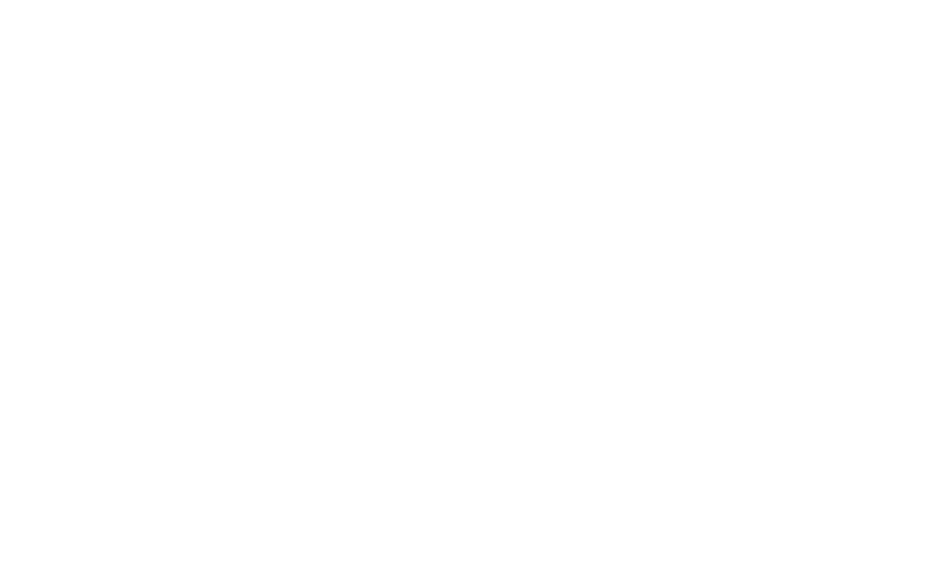 white_text-logoname_transparent_background